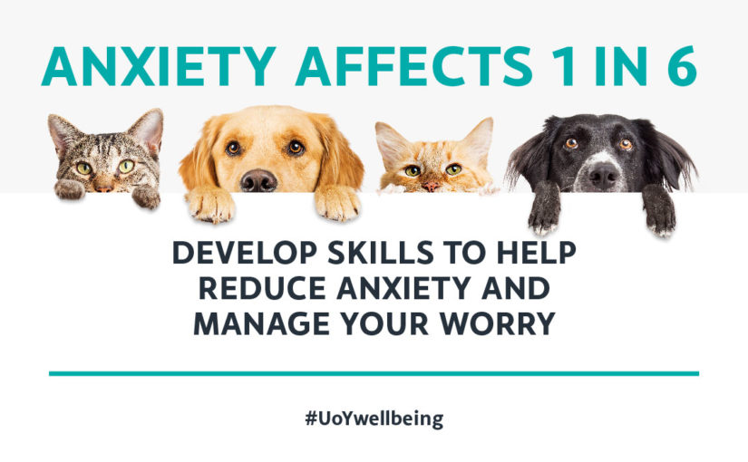 Student wellbeing campaign