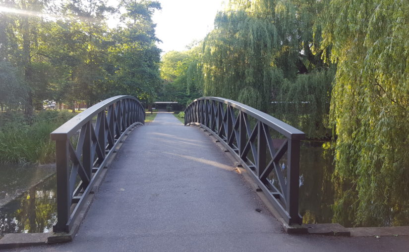 image of one of the bridges on UoY campus