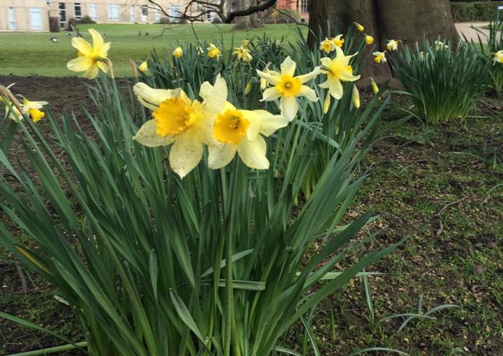 My five favourite beauty spots on campus!