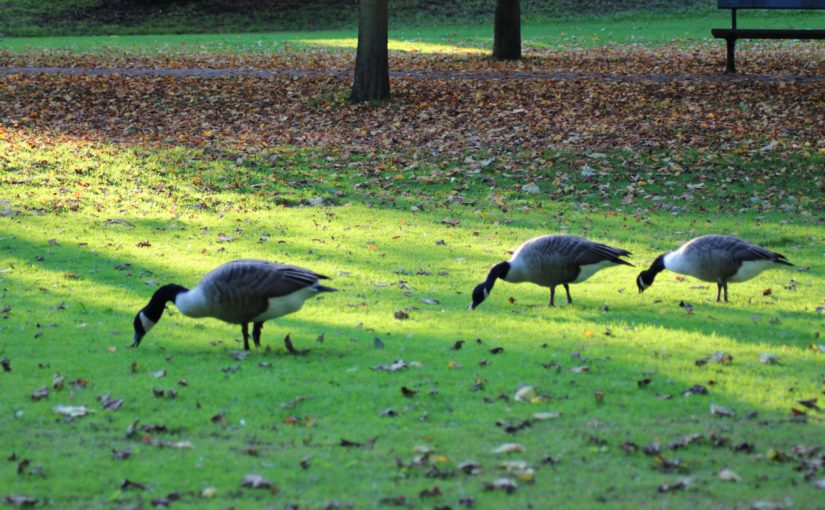 5 Reasons I love studying Film and Television Production at York