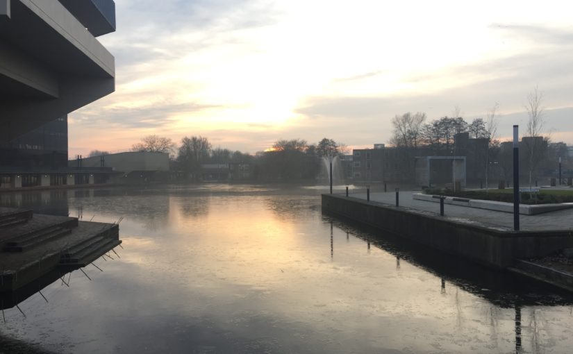 York, and then what? Careers, travel and further study