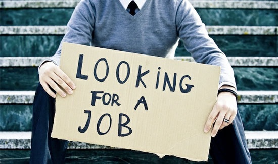 What to do with a history degree?