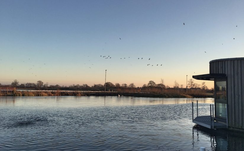Best Moments in York