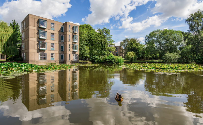 Derwent College