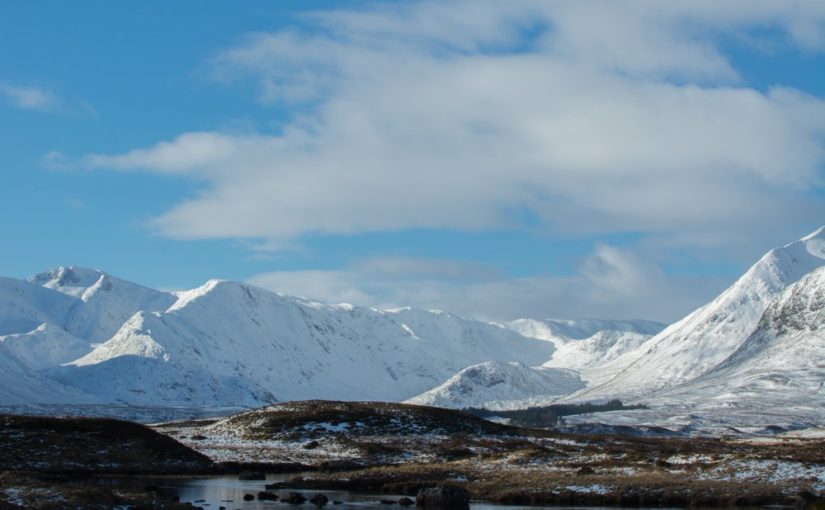 A Week in the Life of a Natural Scientist