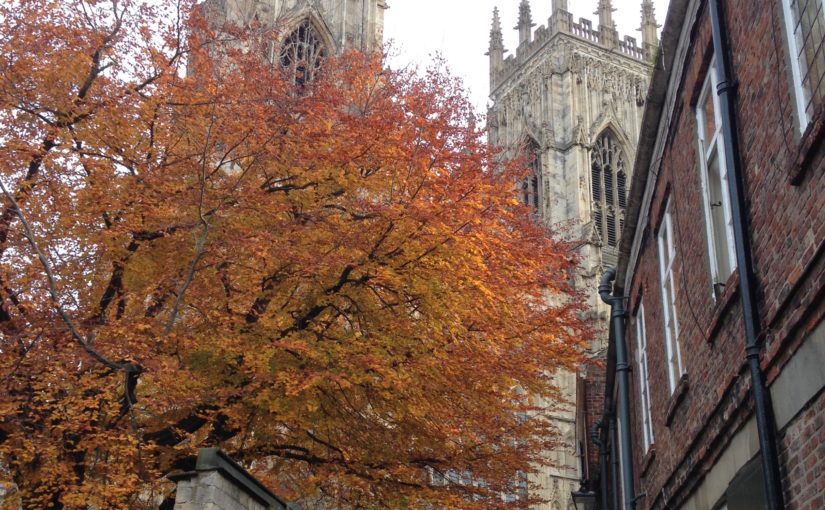 5 Things I Wish I Knew Before my Masters’