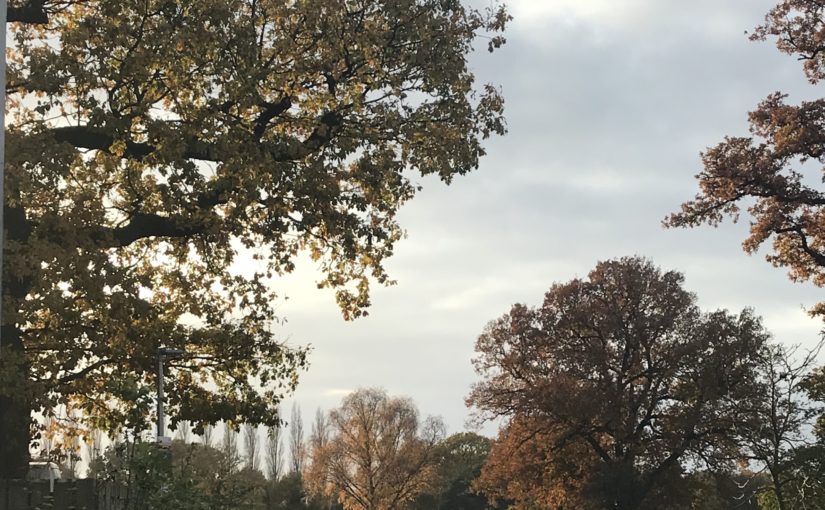 Starting university: an introduction to ‘adulting’