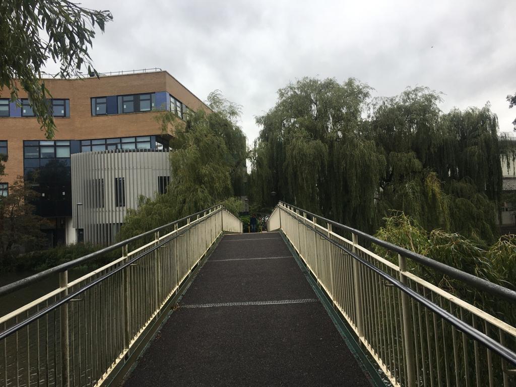 Moving from undergraduate to postgraduate study