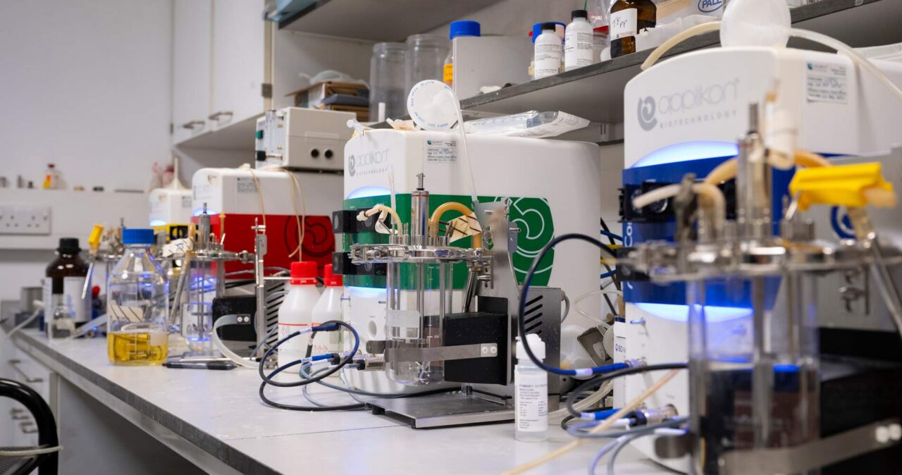 Transitioning to studying postgraduate Biology at York