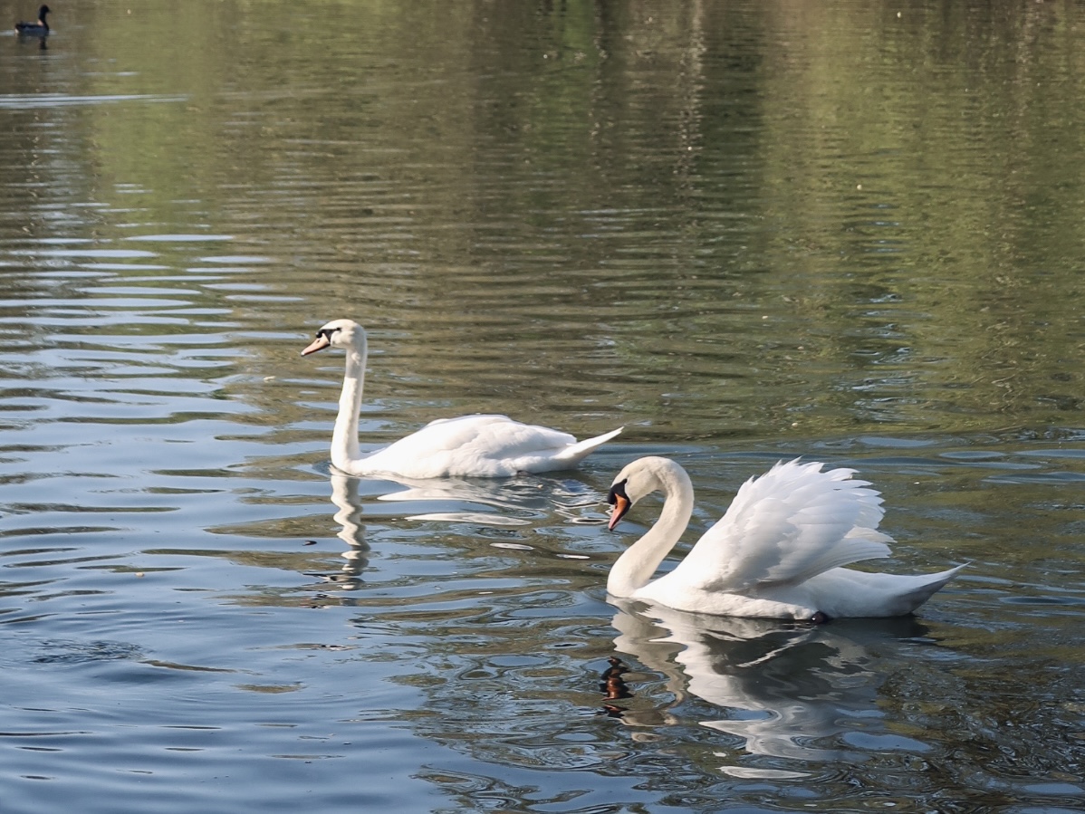 Quiet moments in York that help me slow down